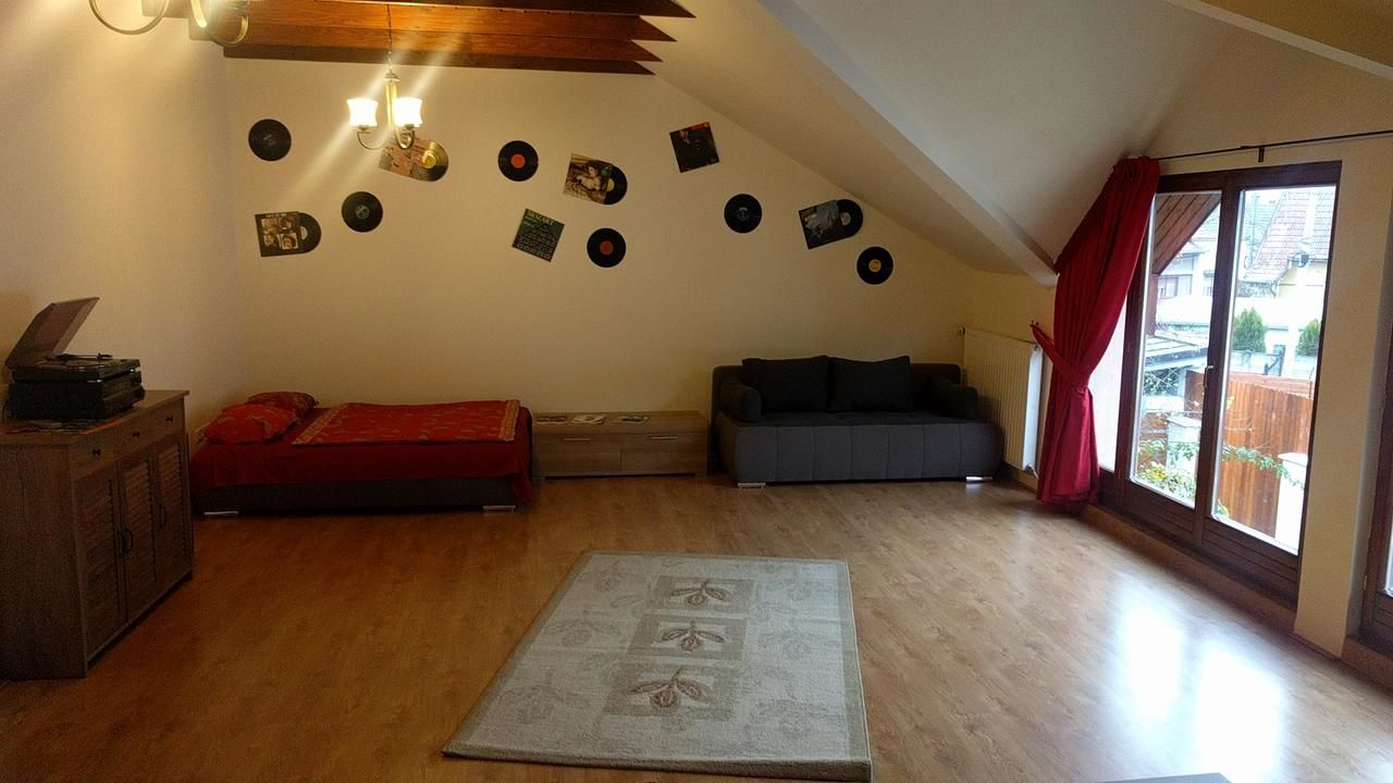 Дома для отпуска VINYL House. A quiet street in the centre of city Тыргу-Муреш-13