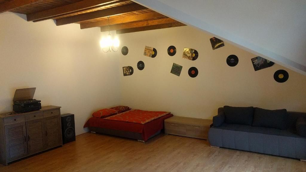 Дома для отпуска VINYL House. A quiet street in the centre of city Тыргу-Муреш-29