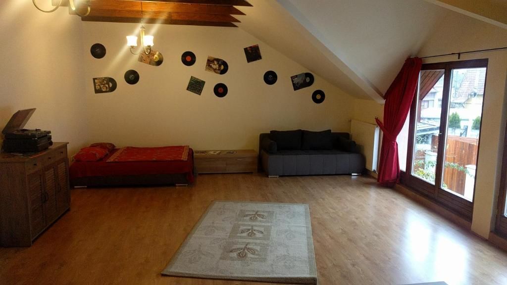 Дома для отпуска VINYL House. A quiet street in the centre of city Тыргу-Муреш-30